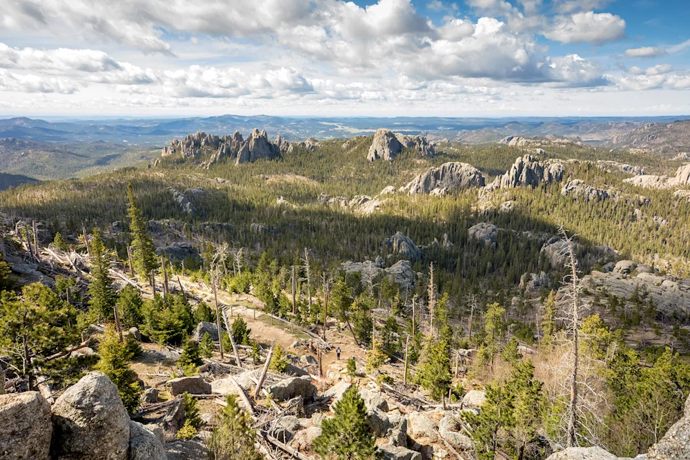 13 Best South Dakota Black Hills Cabin Rentals for Outdoorsy R&R