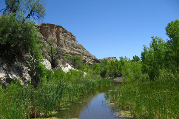 arizona-hot-springs-burro-creek