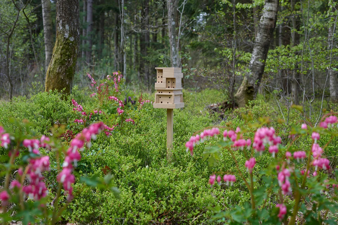 SPACE10-Bee-Home-Field-Solo-Field-Mag