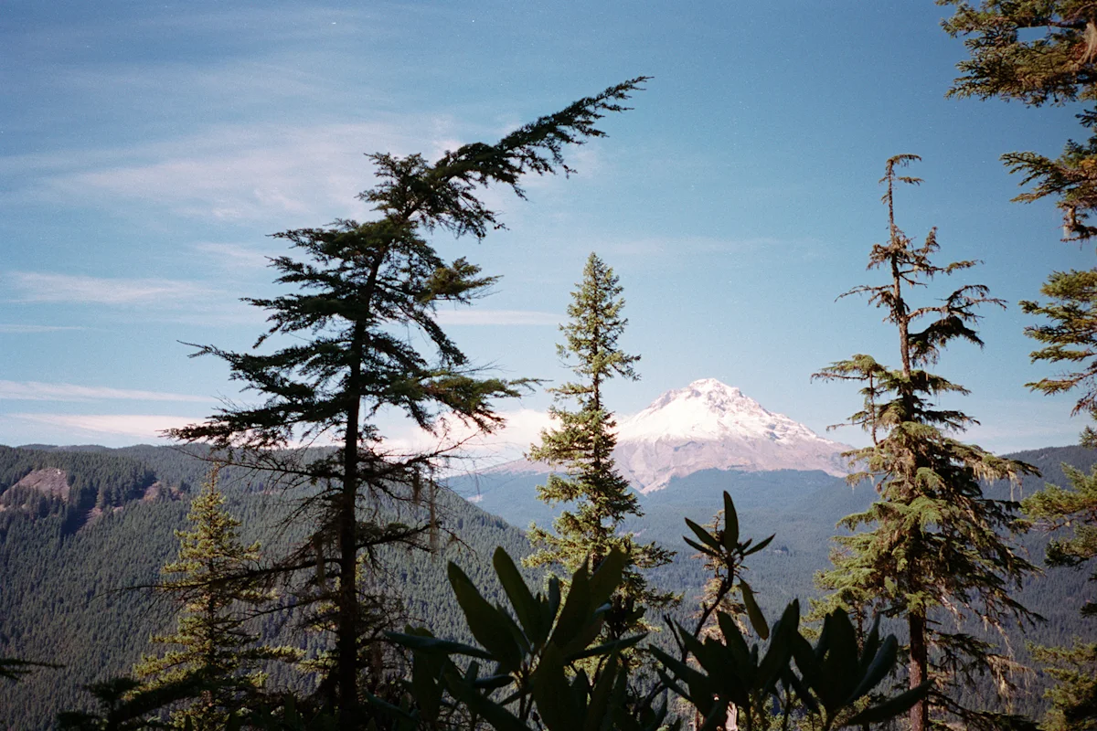 Devils-Peak-Add-3