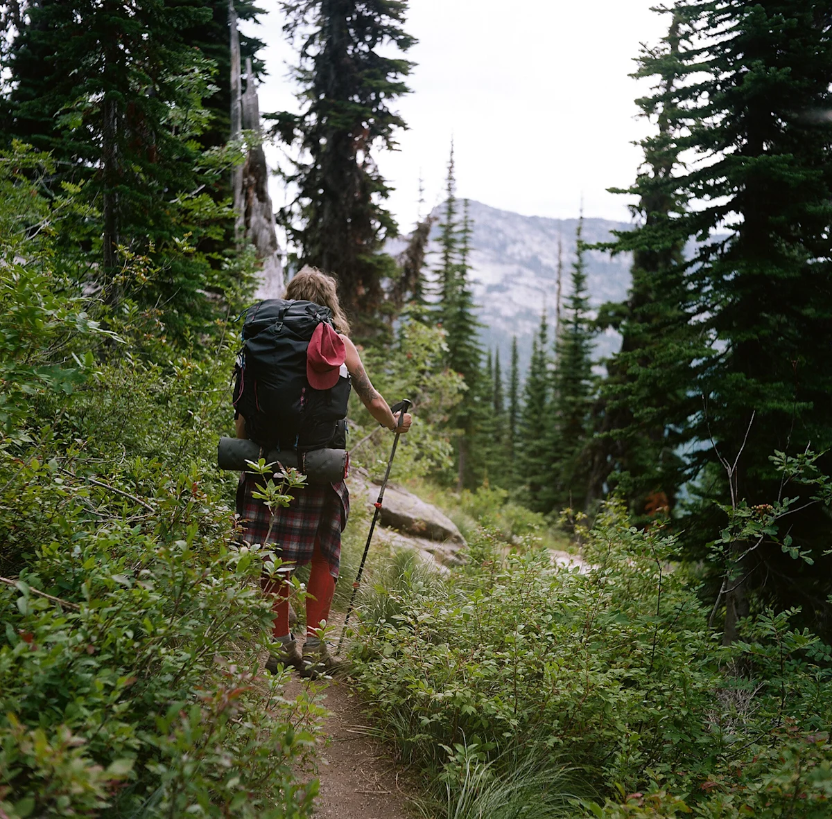 Elias-Carlson-Beehive-Lakes-ID-Field-Mag-3