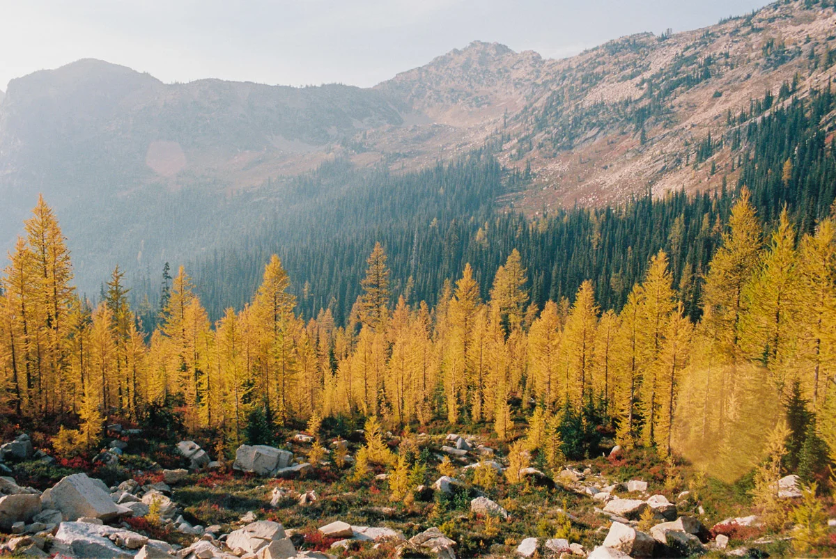 Christie-FitsPatrick-north-cascades-larches-21