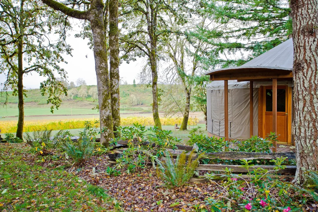 Oregon-Glamping-Elkton-Yurt-Vineyard