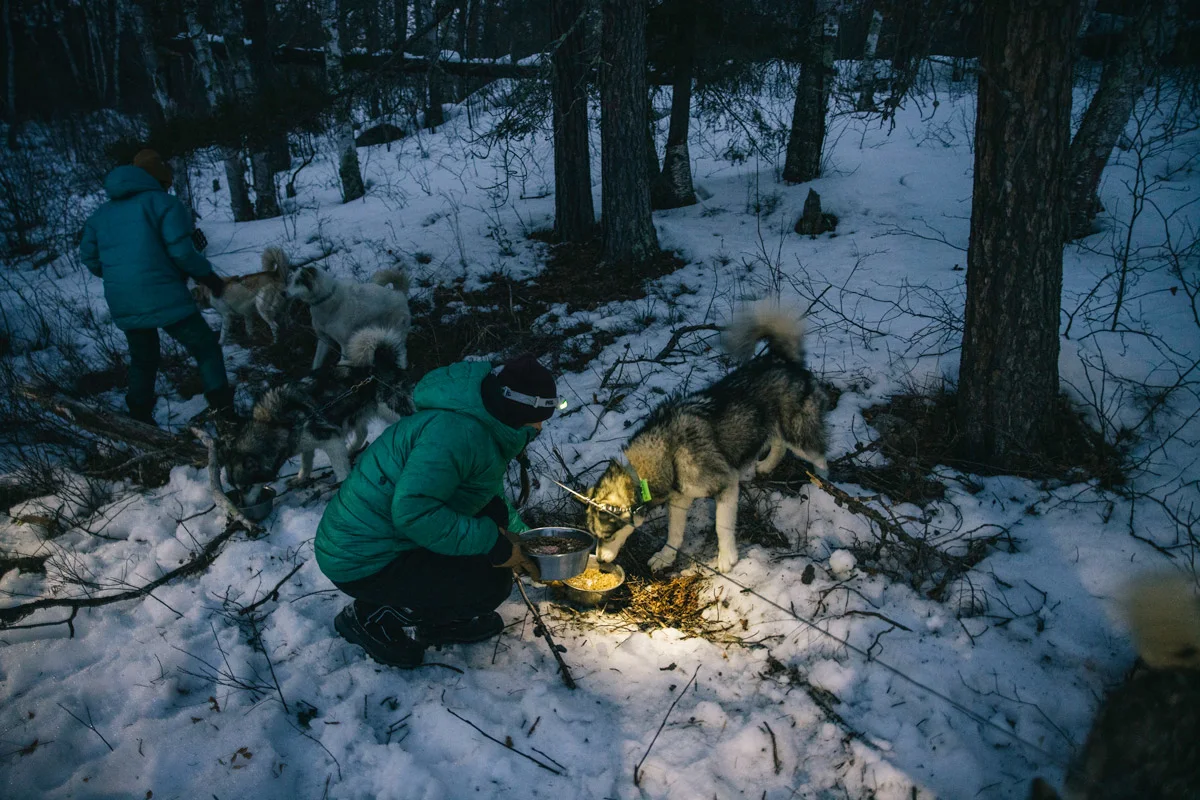 andy-cochrane-dogsledding-boundary-waters-37
