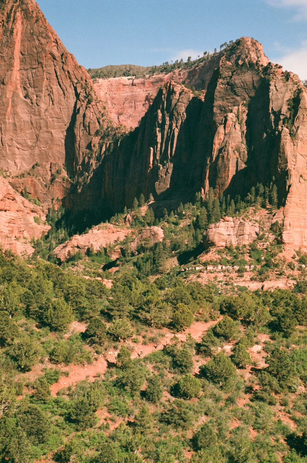 linnea-bullion-zion-road-trip-2