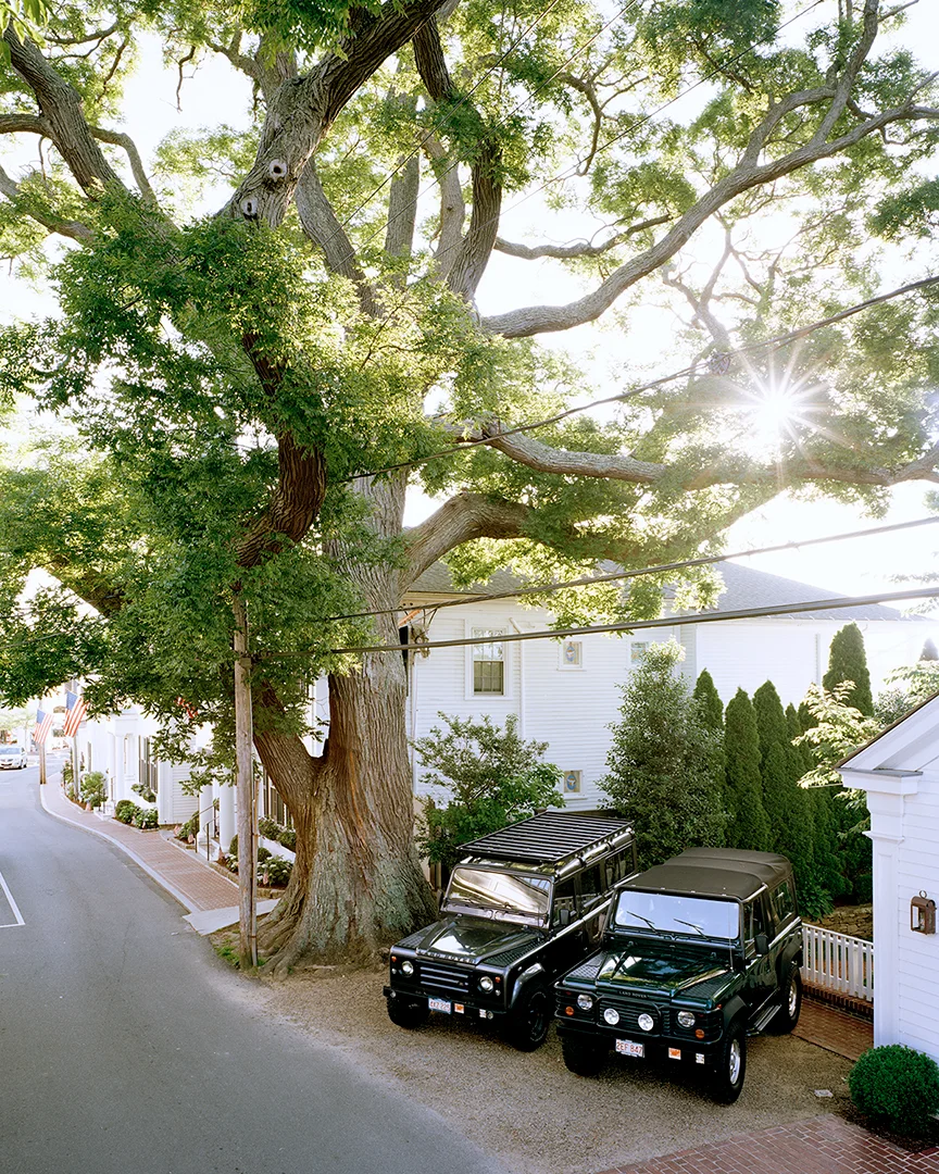 Marthas-Vinyard-Pagoda-Tree-BK-1