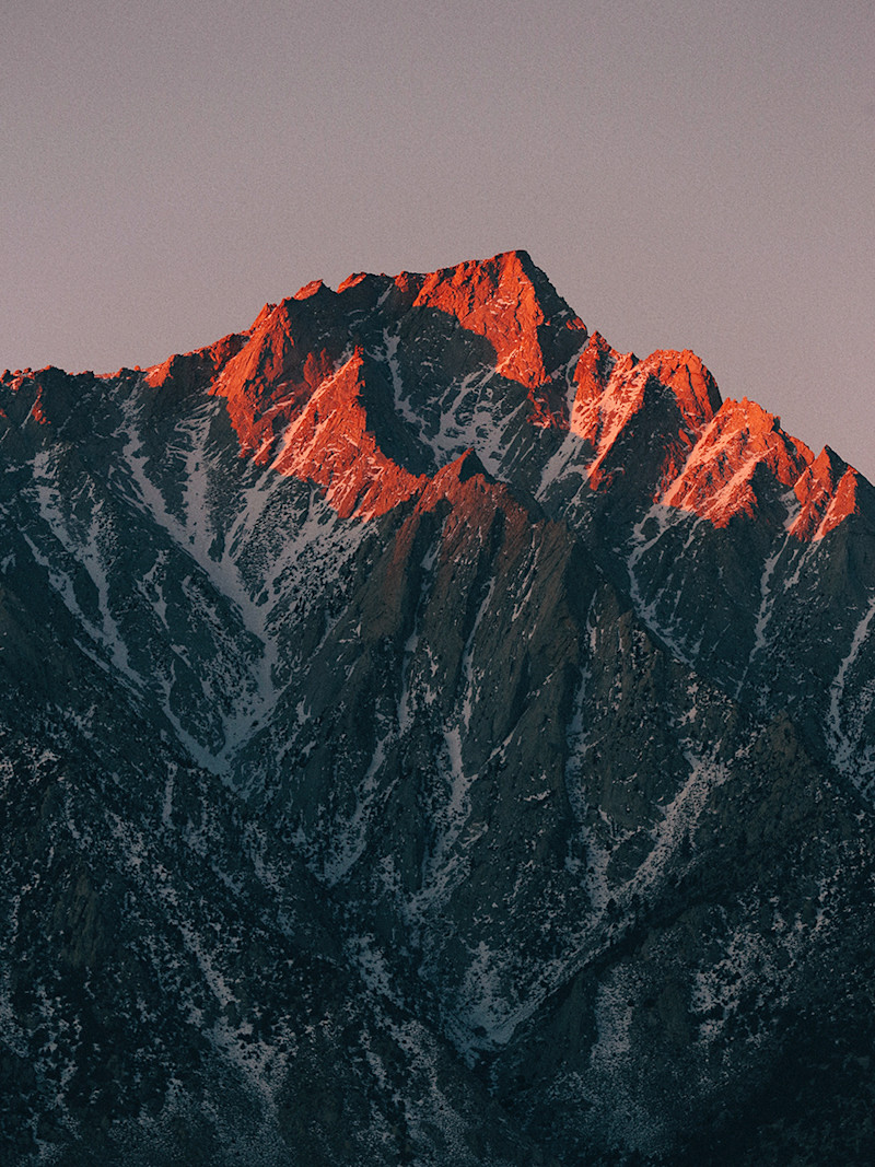 Gina Danza Interview Black Outdoor Photographer Field Mag