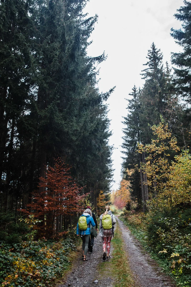 karthika-gupta-seven-summit-hike-hikers-vertical