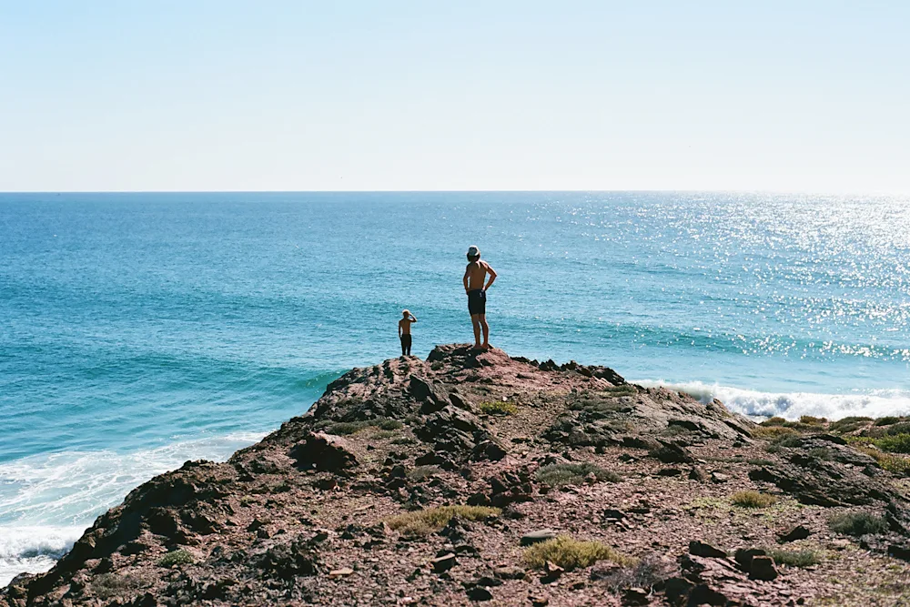 Dingus Dispatches in Baja