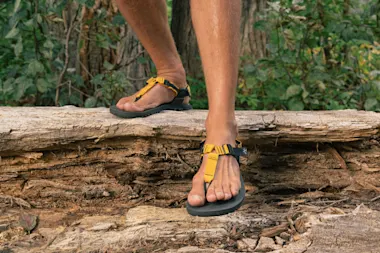 Bedrock Cairn Evo PRO-thumbnail