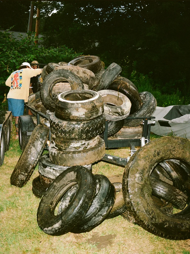 housefly-get-trashed-tires