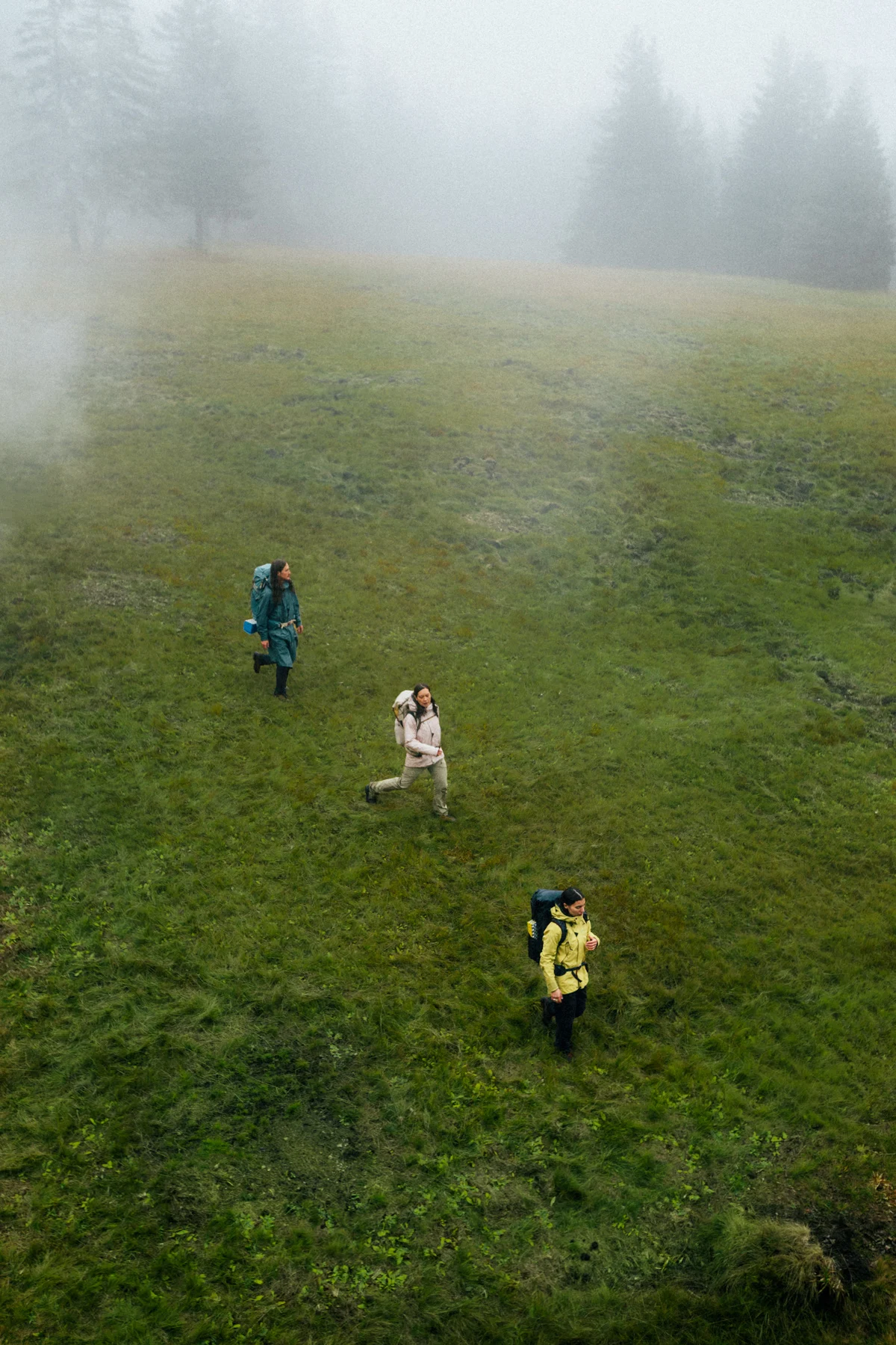 klattermusen-go-feel-wild-meadow