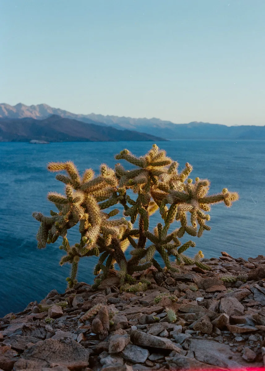 clayton-herrmann-sea-kayaking-baja-13