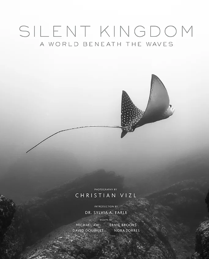 Silent-Kingdom-Cover-Christian-Vizl-2