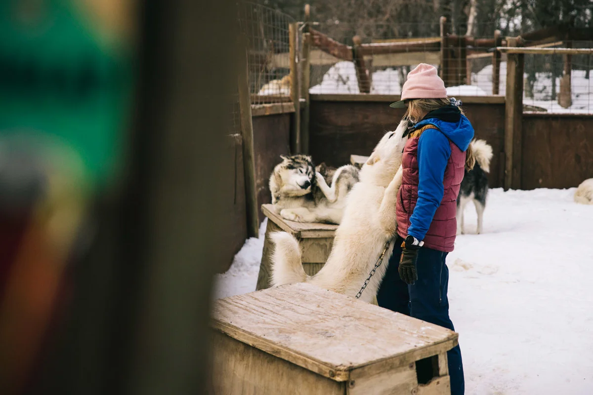 andy-cochrane-dogsledding-boundary-waters-6