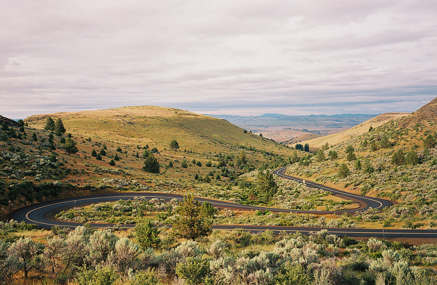 the oregon trail