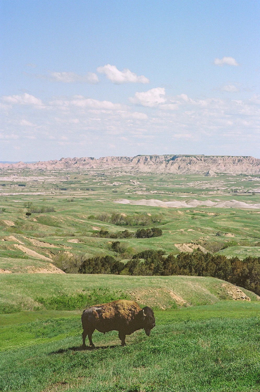 South-Dakota-Film-Badlands-Final-13