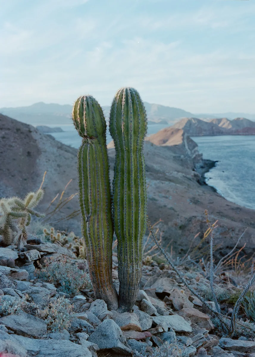 clayton-herrmann-sea-kayaking-baja-12