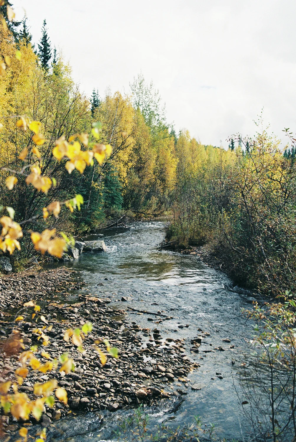 Upchurch-Alaska-Fall-21