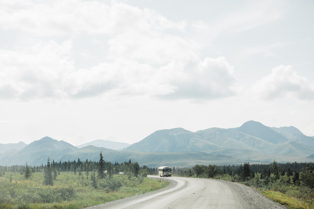 Denali National Park Camping Guide: What to Know About Planning & Visiting