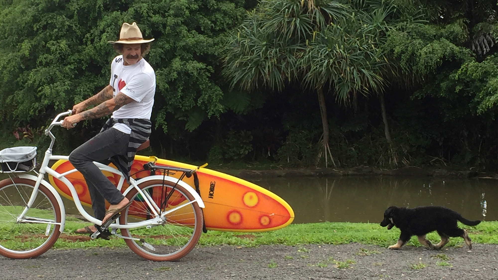 rust proof beach cruiser