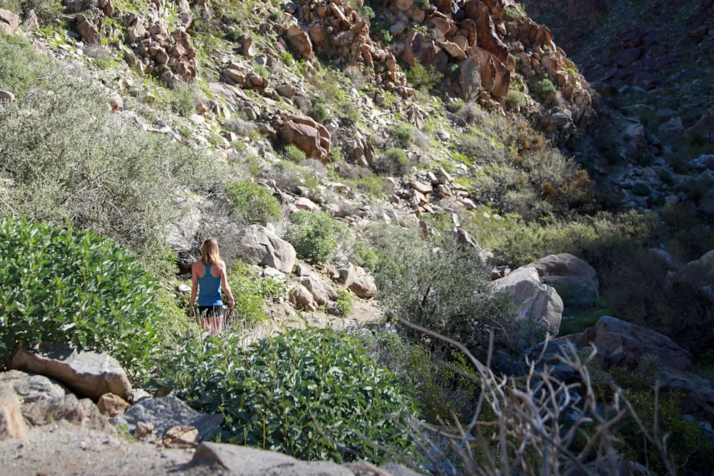 Gear Review: Icebreaker Women's Sprite Tank and Hot Pants