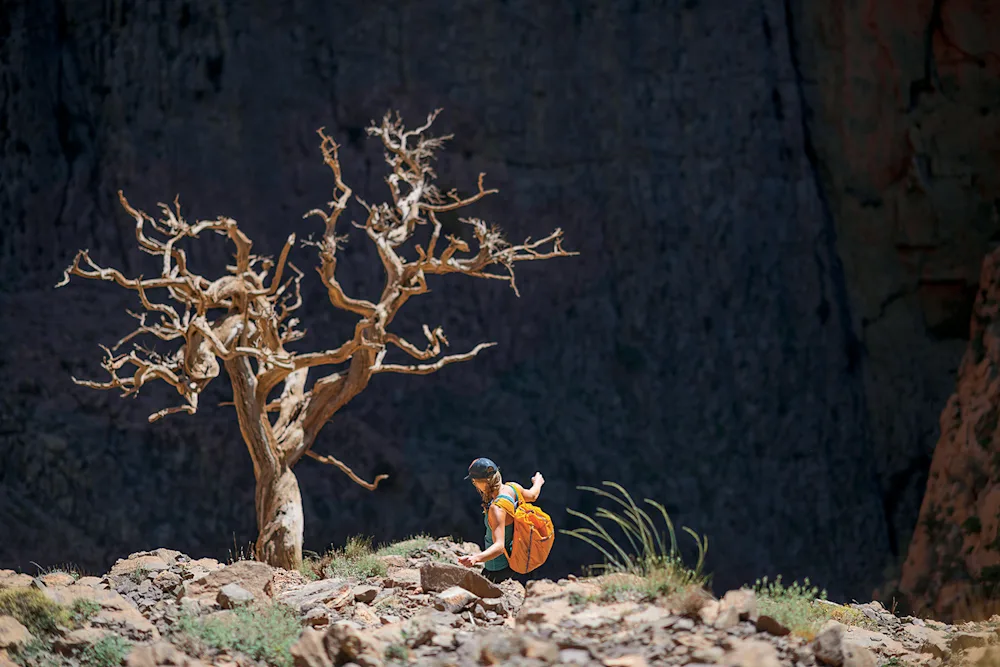 Patagonia Updates Legendary Black Hole Line
