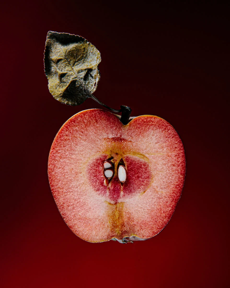 odd-apples-william-mullan-wine-kist