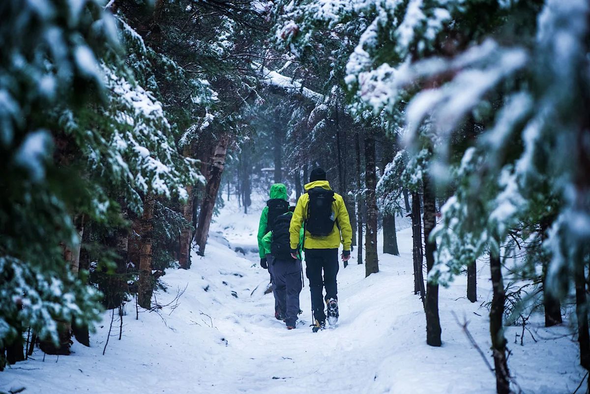 Arcteryx-GORE-Pro-2-Test-NH-Fieldmag-ender