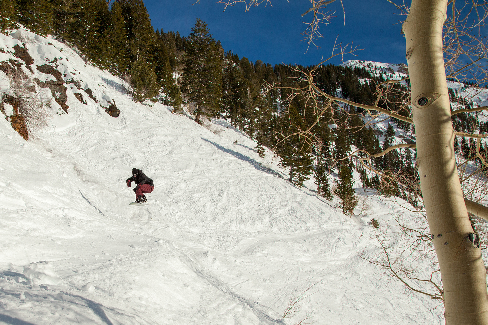 Gear Review: 2016 K2 Carve Air | Field Mag