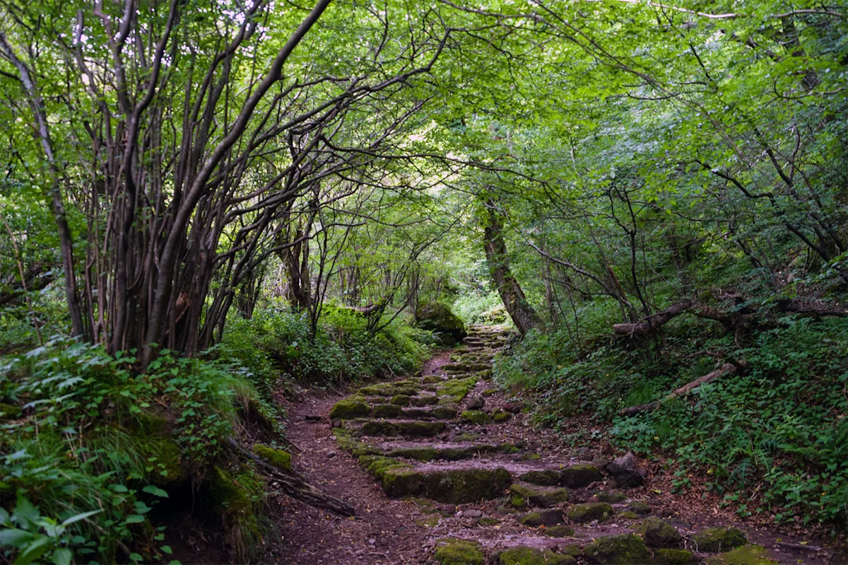 Japan-Mt-Unzen-National-Park-Guide-6