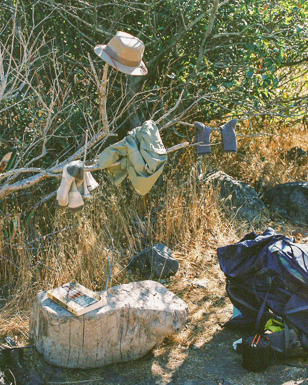 Bailey-Diemer-Lost-Coast-Trail-Tips-Field-Mag-1