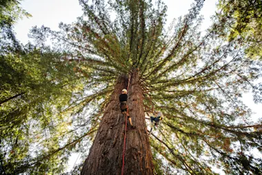 photography by Candy Mountain Collective, @candymountaincollective