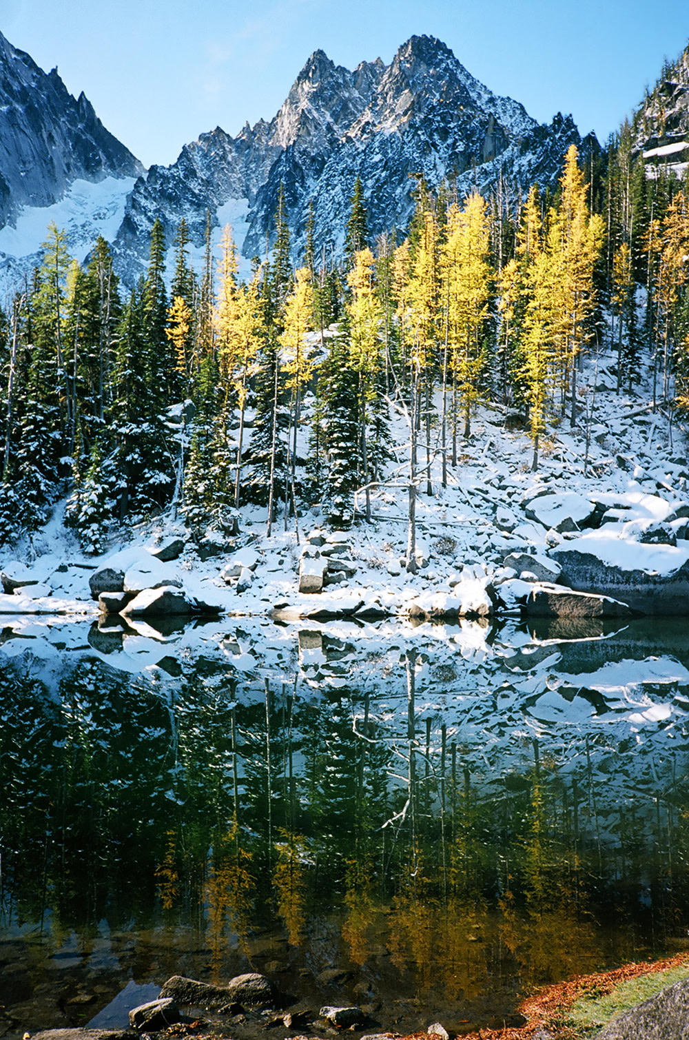 Best Enchantments Trail to See Fall Larch Blooms | Field Mag