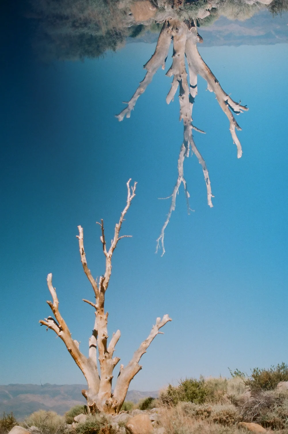 Jason-Corning-Dual-Exposure-CA-4