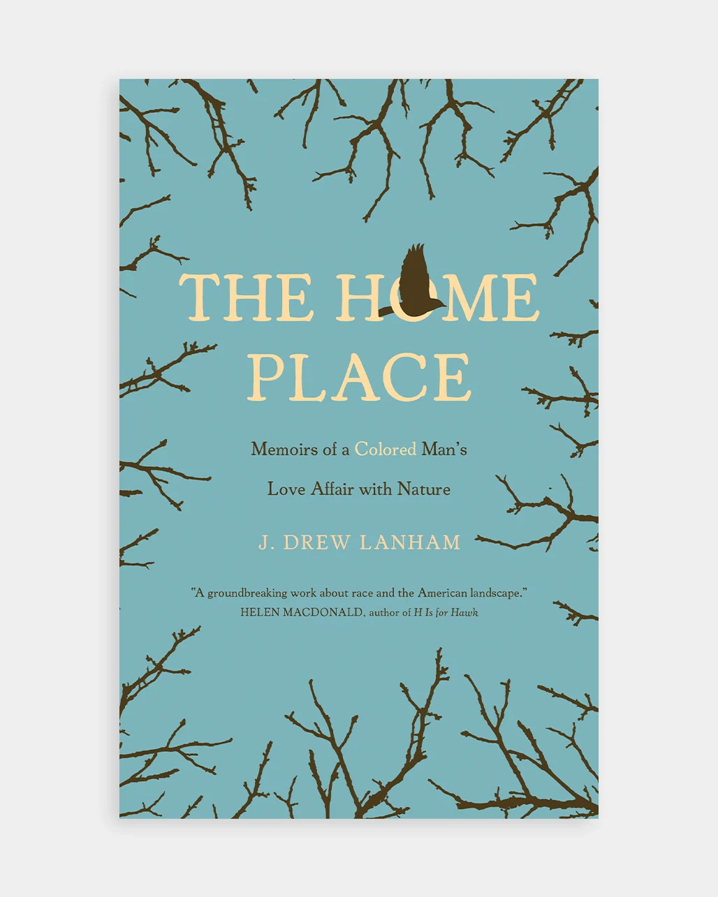 the-home-place-bipoc-reading-list-fieldmag