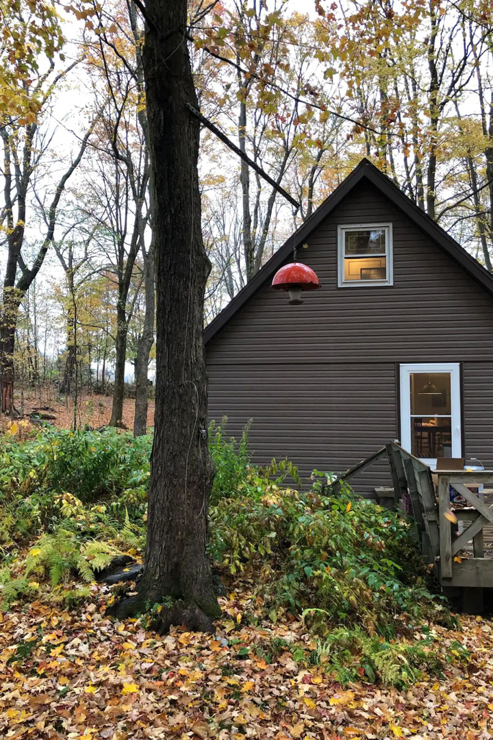 14 Best Poconos Cabin Rentals for a PA Vacation 2024 Field Mag