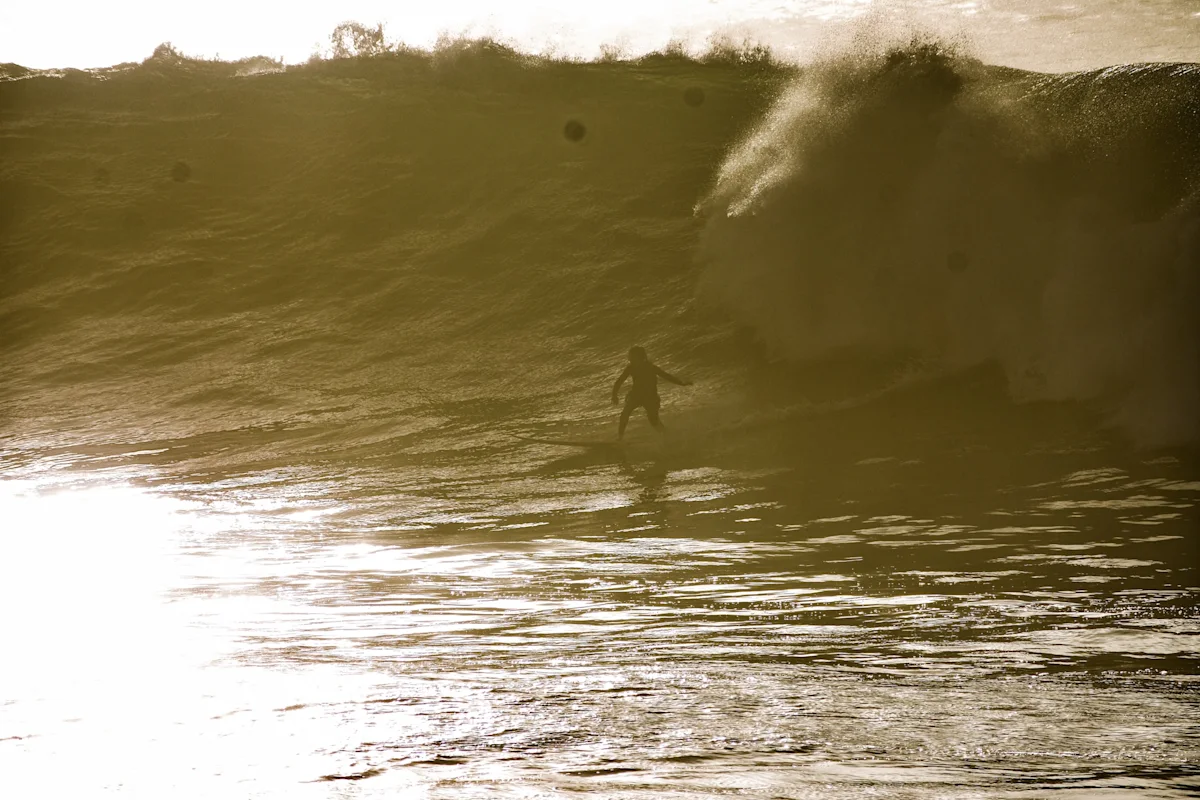 Maya-Toebat-Lena-Kemna-Chris-Saunders-Sepia-Wave