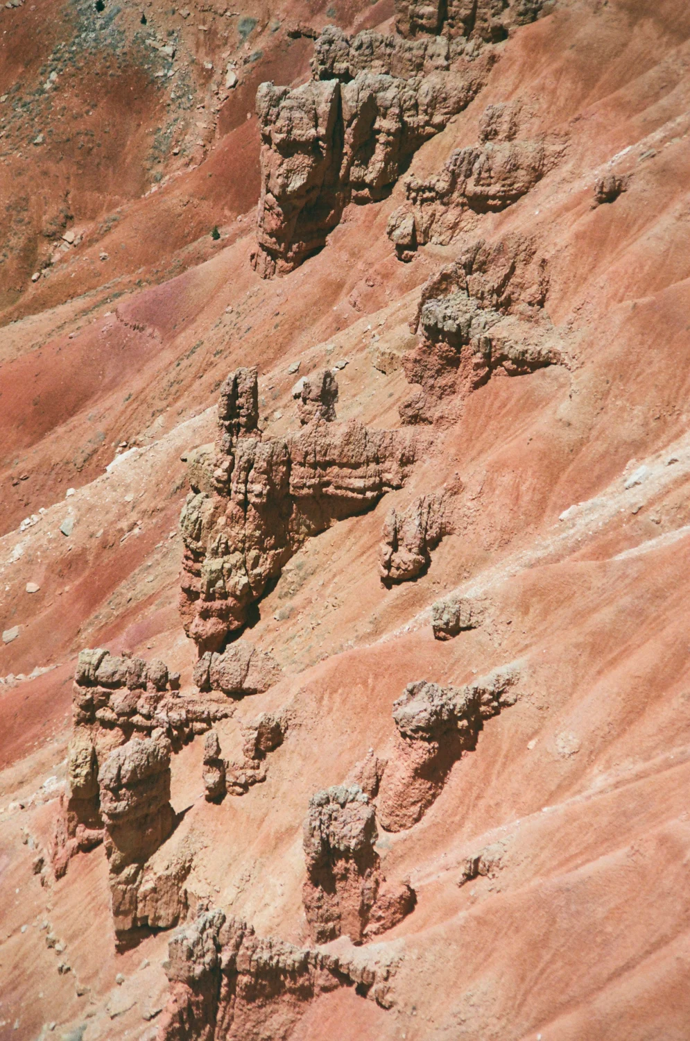 linnea-bullion-zion-road-trip-31