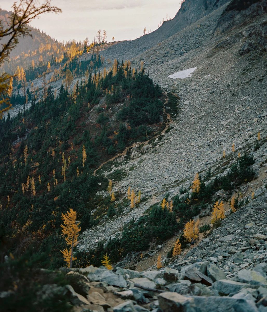 Christie-FitsPatrick-north-cascades-larches-8