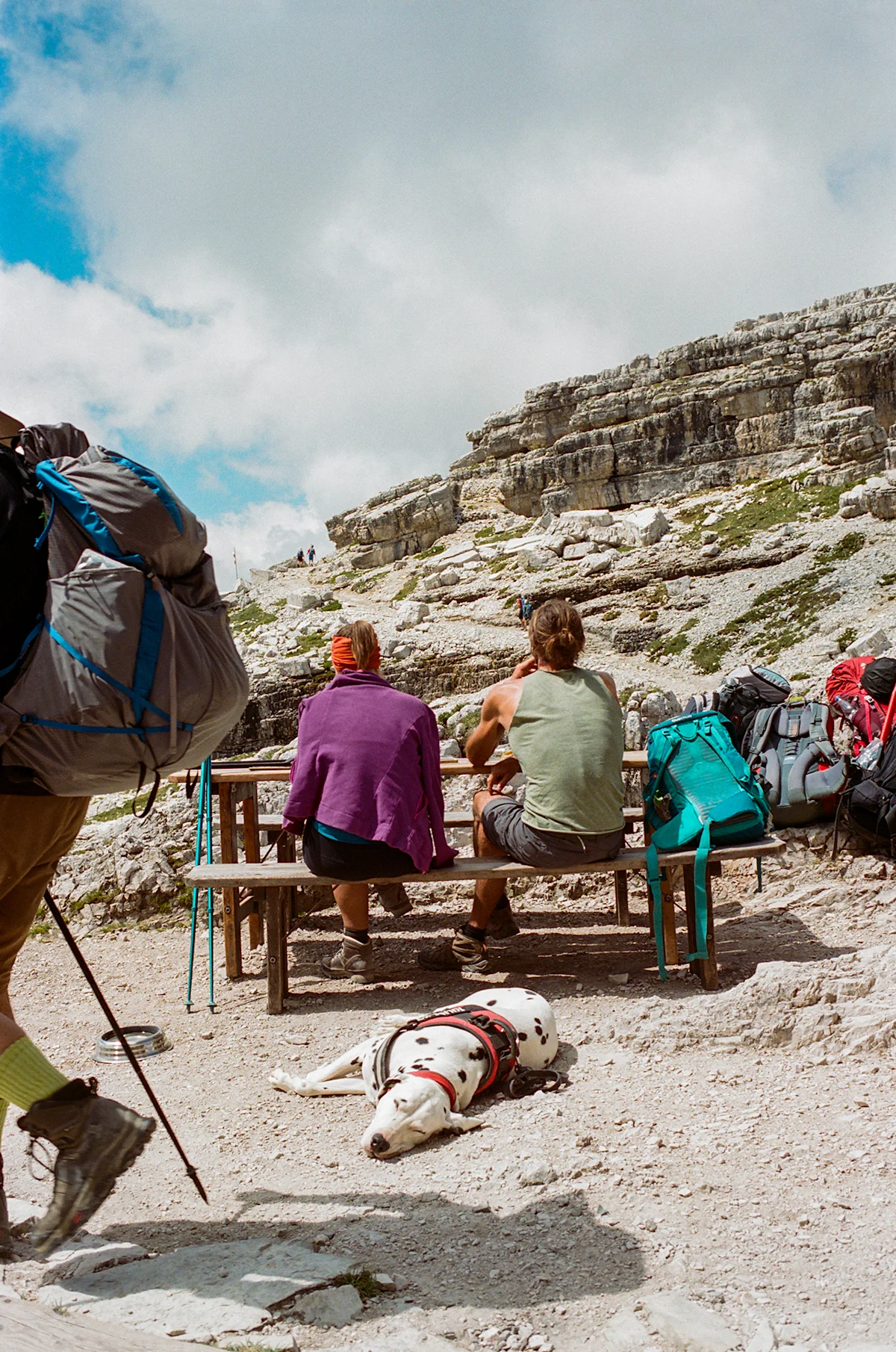 Jess-Tran-Dolomite-Hut-Hiking-Dog