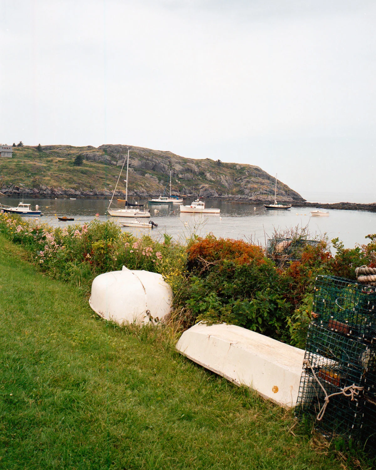 matt-steindl-monhegan-island-14
