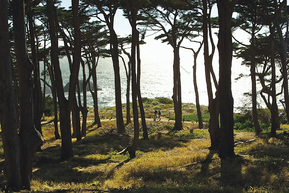 13 Urban Hikes That Link Neighborhoods, Public Art & Outdoor Adventure