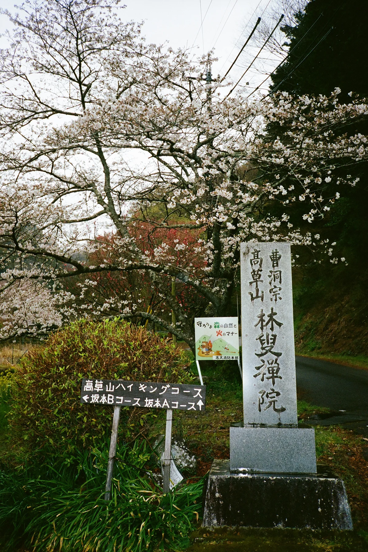 colleen-hammond-katsuo-trail-guide-trail-signs-vert