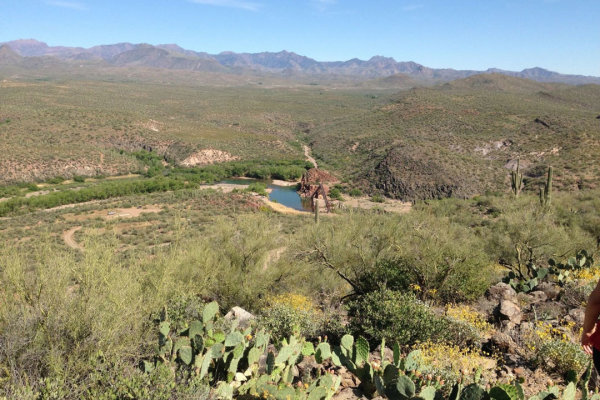 arizona-hot-springs-sheep-bridge
