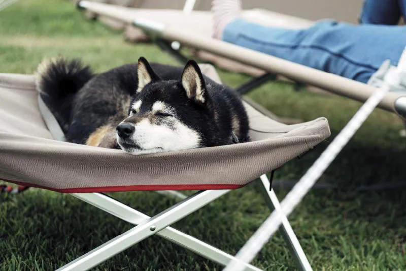 snow-peak-dog-bed