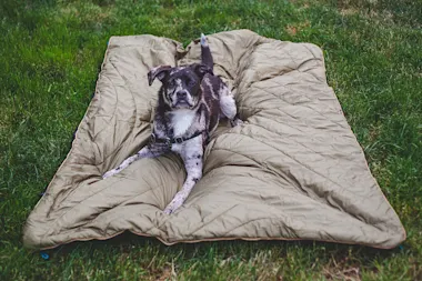 Rumpl Puffy Ground Cover ($89)