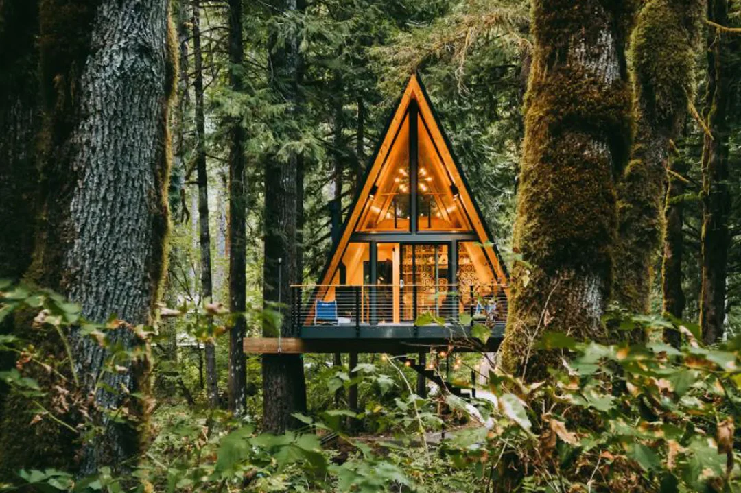 Washington-Index-Treeframe-Cabin-Exterior
