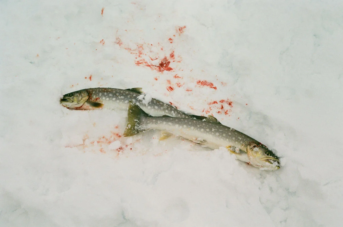 Tanner-Bowden-Kamchatka-Ski-Fieldmag-13