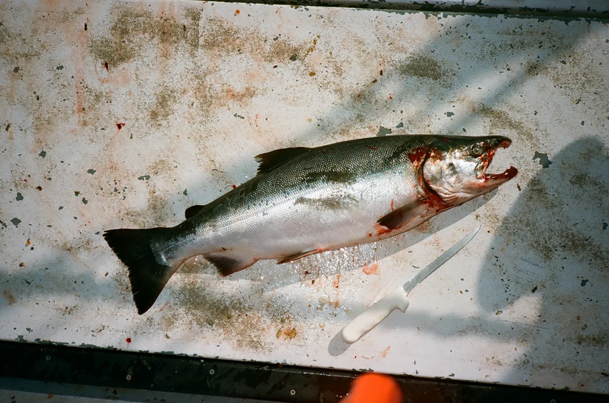 James-Barkman-Alaska-Salmon-Fishing-Fieldmag-14